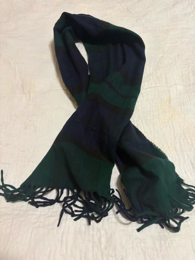 Fraas Navy And Green Striped Fringe Scarf